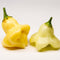 Aji Fantasy